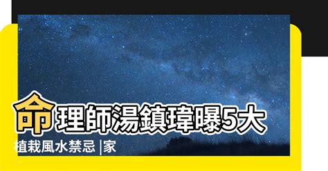 九重葛 風水|九重葛風水攻略：門口種植招財納福旺運氣 